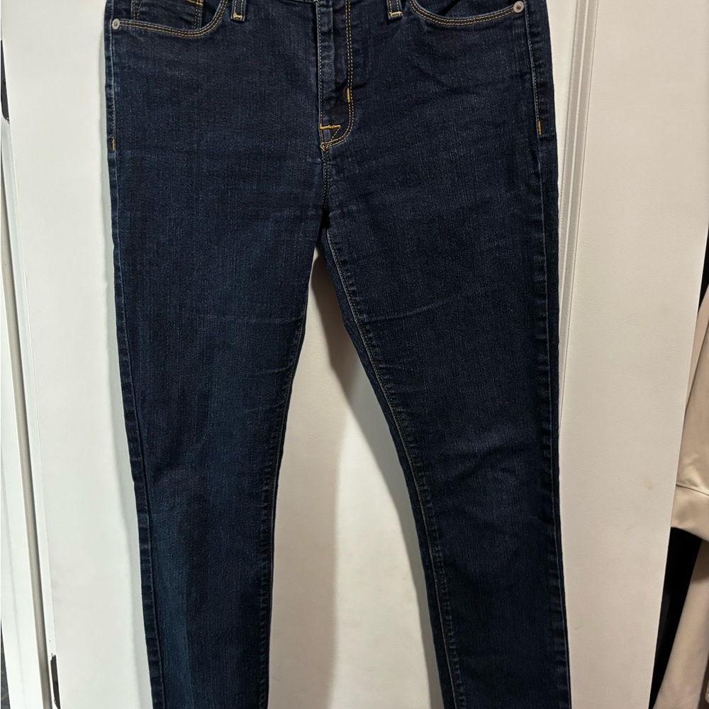 Hudson Jeans Dark Blue Skinny Denim